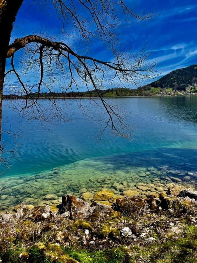 Chalet Heidi Διαμέρισμα Rotta Εξωτερικό φωτογραφία